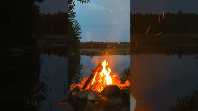 ЧТО ПРОИСХОДИТ С МОЗГОМ, КОГДА ТЫ ПЕРЕСТАЁШЬ ЖАЛЕТЬ СЕБЯ — И КАК ЭТО МЕНЯЕТ ЖИЗНЬ смотреть онлайн