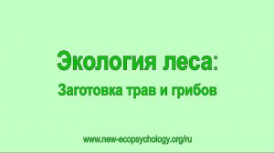 ЭКОЛОГИЯ ЛЕСА: заготовка трав и грибов. 2018 (Rem)