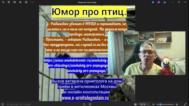 Юмор про птиц 10. смотреть онлайн