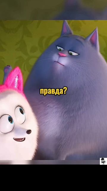 Тайная жизнь 🐱домашних животных 2 🐶