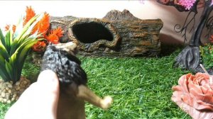 Обзор новинок (продолжение)