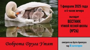 Доброта Друга Утят