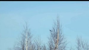 Я могу тебя долго ждать