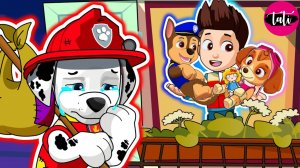 Щенячий патруль и Маршалл. Залипательное видео. Мультфильм для детей и малышей. Анимация 162