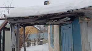 Для истории, первый посев укропа. 01.02.2026г.