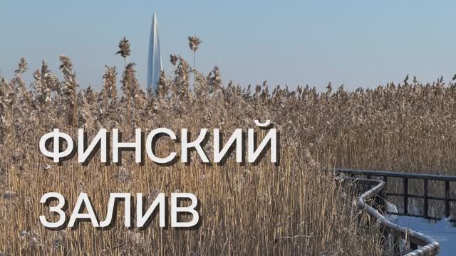 Прогулка по Финскому заливу. Мороз в Питере. Санкт-Петербург. Экотропа смотреть онлайн