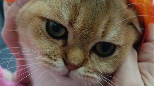 прощай осень 🍁🍁🍁