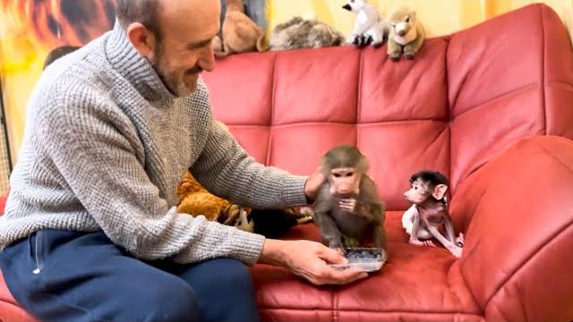 УРА! У Степашки ПЕРВЫЕ УСПЕХИ! Степа самостоятельно СИДИТ, а Люся за ним присматривает!!! смотреть онлайн