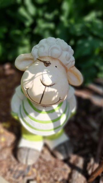 Дачные зарисовки