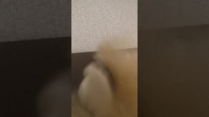 5 ночей с егоркой