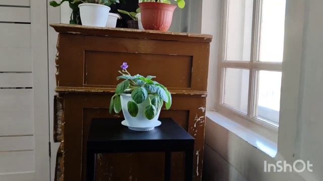 Винтовая царская лестница.01022026