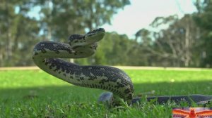 Древний изгиб