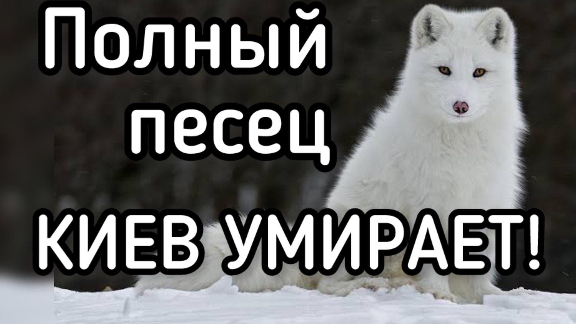 Катастрофа в Киеве. Сотни погибших, тысячи обмороженных. Зеленский скрывает масштаб трагедии смотреть онлайн