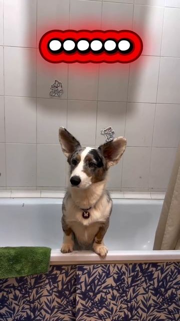 Забывчивый смотреть онлайн