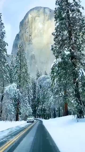 Лучшая дорога- та, что ведёт домой. смотреть онлайн