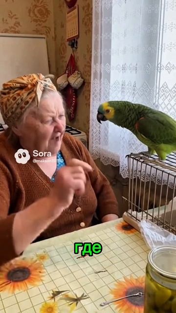 Попугай и бабка #sora #ии #юмор #parrot #угар #попугай #прикол #смех #cute #birds #бабка Попугай и бабка #sora #ии #юмор #parrot #угар #попугай #прикол #смех #cute #birds #бабка