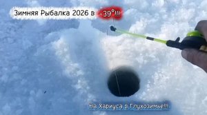 Зимняя Рыбалка Января на Хариуса в Глухозимье 2026!!!