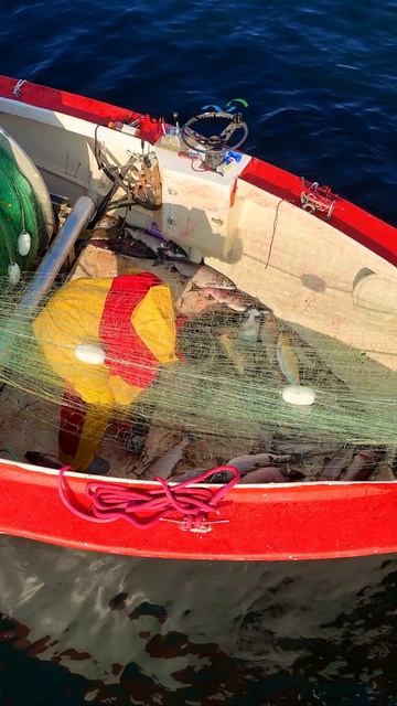 Ловля кеты на озере Вашингтон 🎣  Традиционная ловля кеты на озере Вашингтон, снятая с воздуха