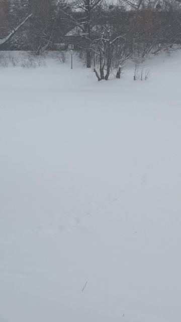 А ГДЕ КРАСНЫЕ ЯЩИКИ? смотреть онлайн