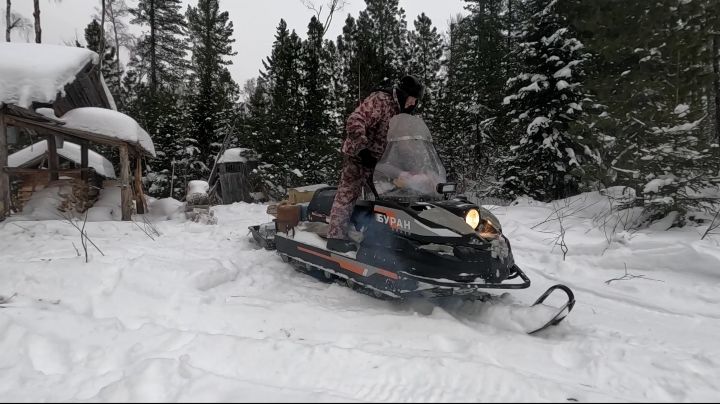 Живу в таёжной избе. Проверил капканы. Пара соболей. смотреть онлайн
