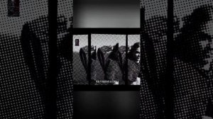 Nerātnās dziesmas & M.M. - KAD ES BIJU JAUNA MEITA (COVER)