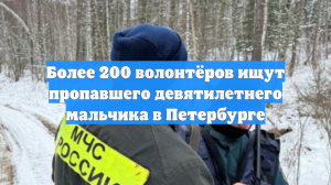 Более 200 волонтёров ищут пропавшего девятилетнего мальчика в Петербурге
