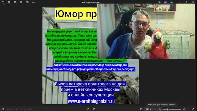 Юмор про птиц 7. смотреть онлайн