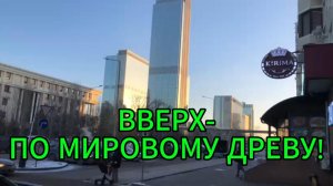 Вверх - по Древу Жизни!