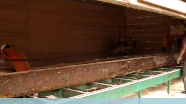 Пиломатериалы от производителя в Санкт-Петербурге Пиломатериалы от производителя в Санкт-Петербурге