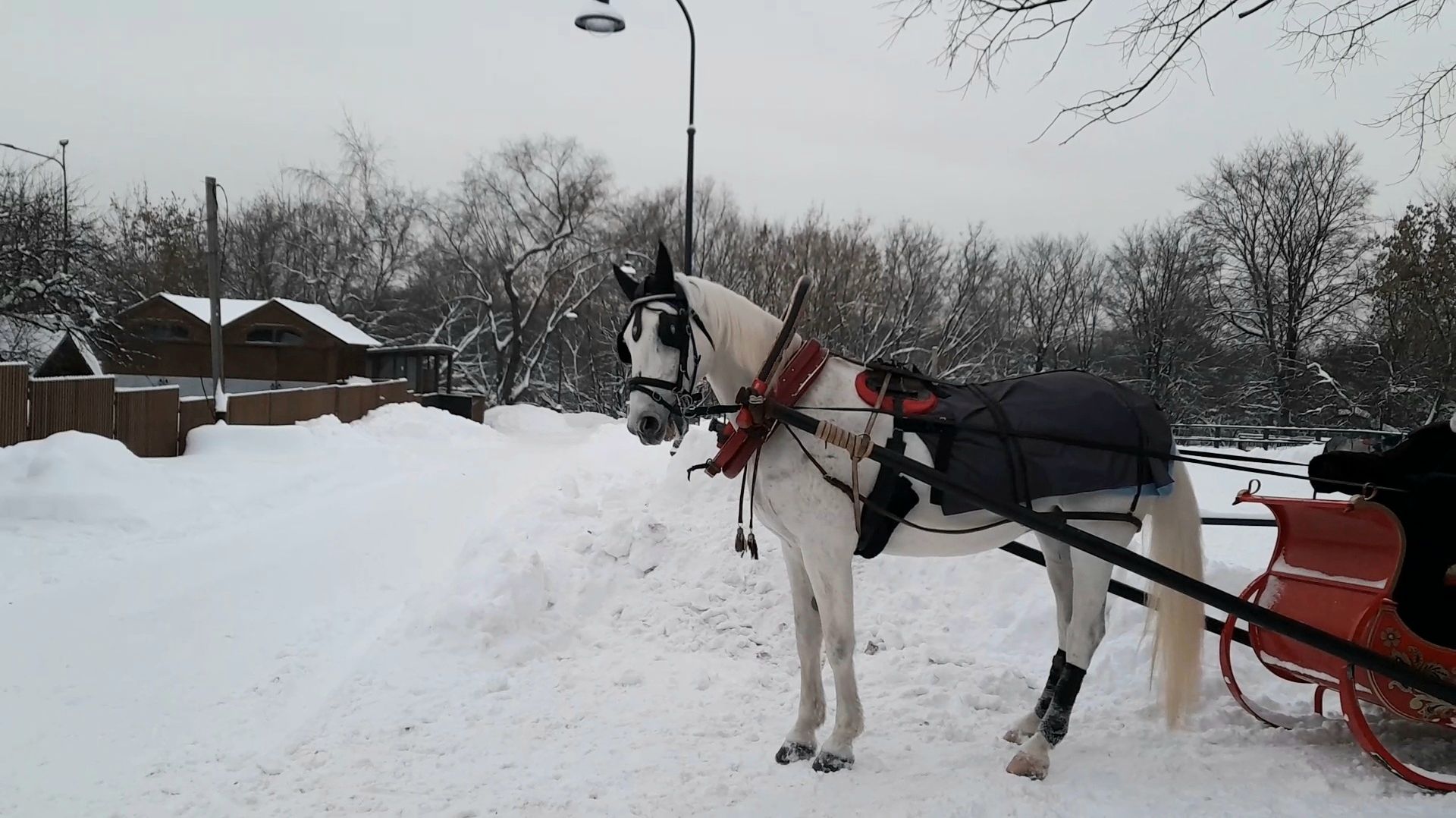 Зима в Коломенском. Древний Предтеченский храм. Старое кладбище. Конюшеный двор. смотреть онлайн