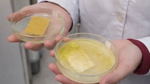 Ученые в Петербурге создали ткань, защищающую от больничных инфекций