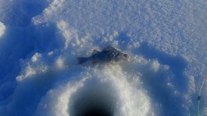 катунино-цигломень морозный денёк на рыбалке