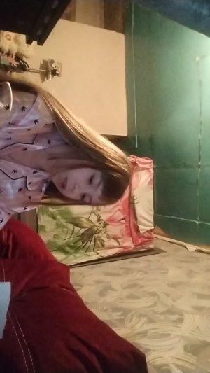 дом для бумажных собак