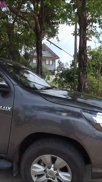 Прогулка с таечкой. Прогулка с таечкой.