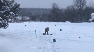 поимка форели на активную снасть