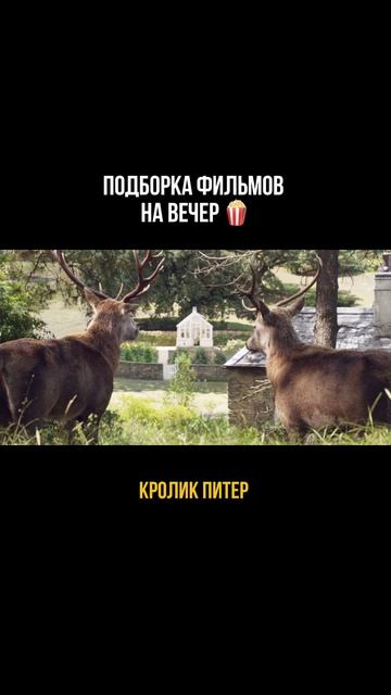 Не забудь подписаться: каждый день новая подборка #кино #подборки #топ #фильмы