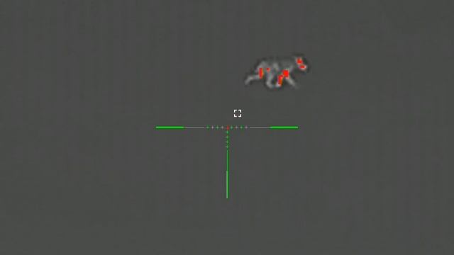 Охота на шакалов в Астраханской области смотреть онлайн