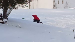 поимка форели на пасту