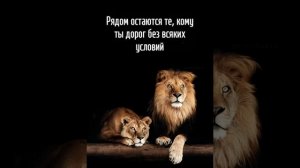 Елена Карпук ЕСЛИ ЛЮДИ УХОДЯТ,не пытайтесь вернуть...