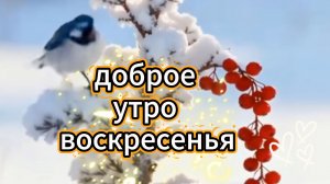 доброе утро воскресенья видеооткрытки ☀️