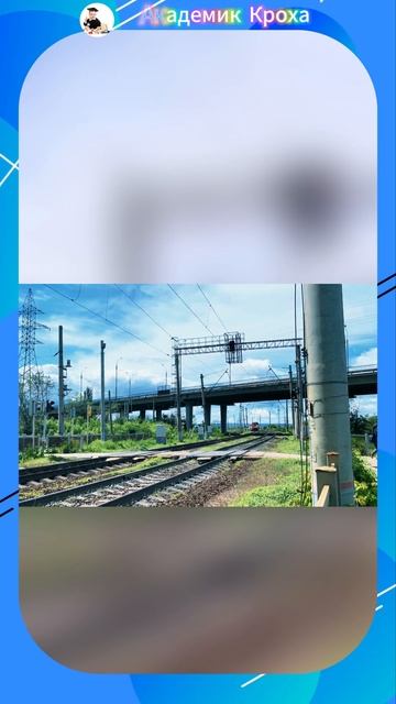 рельсовый автобус 🚌 #угадай #викторины #академиккроха #транспортдлядетей #раразвивающиеигры смотреть онлайн