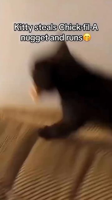 Где мая еда челавечешка смотреть онлайн