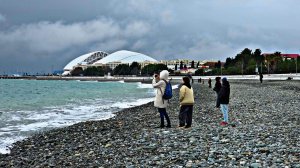 ✅️🌴1 ФЕВРАЛЯ В СИРИУСЕ: +9°ДОЖДИК ЗАКОНЧИЛСЯ, ПРО СНОС КАФЕ НА ИМЕРЕТИНСКОЙ НАБЕРЕЖНОЙ. КРАСИВУЩЕЕ