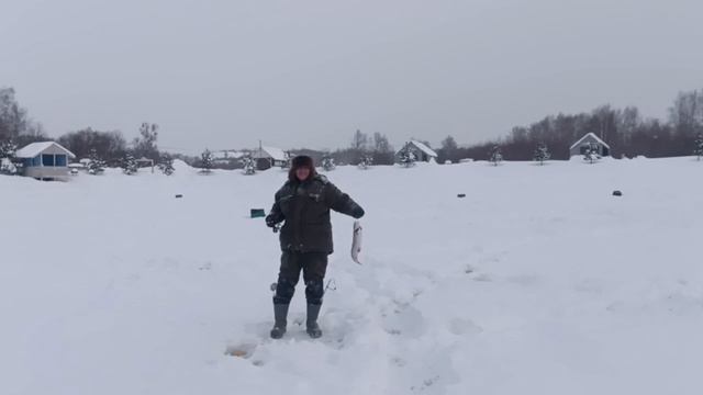 5721.mp4 смотреть онлайн