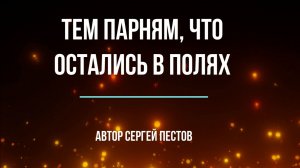 Тем парням, что остались в полях... Автор Сергей Пестов