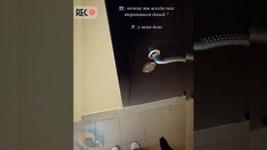 Смешная подборка про собак 2026