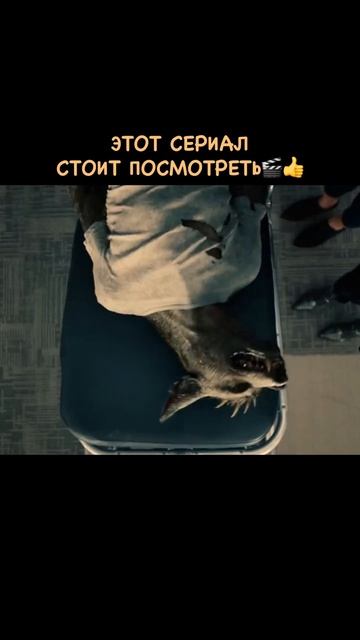 Несовершенные 2022🍿 Несовершенные 2022🍿