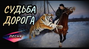 Судьба дорога