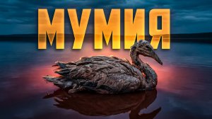 Только в Африке: озёра-мумификаторы и города на воде