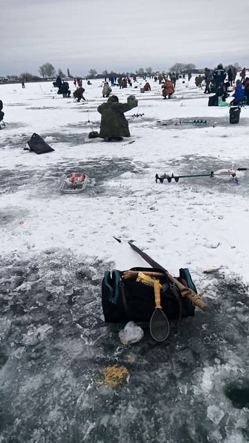 VID_20240127_122411.mp4